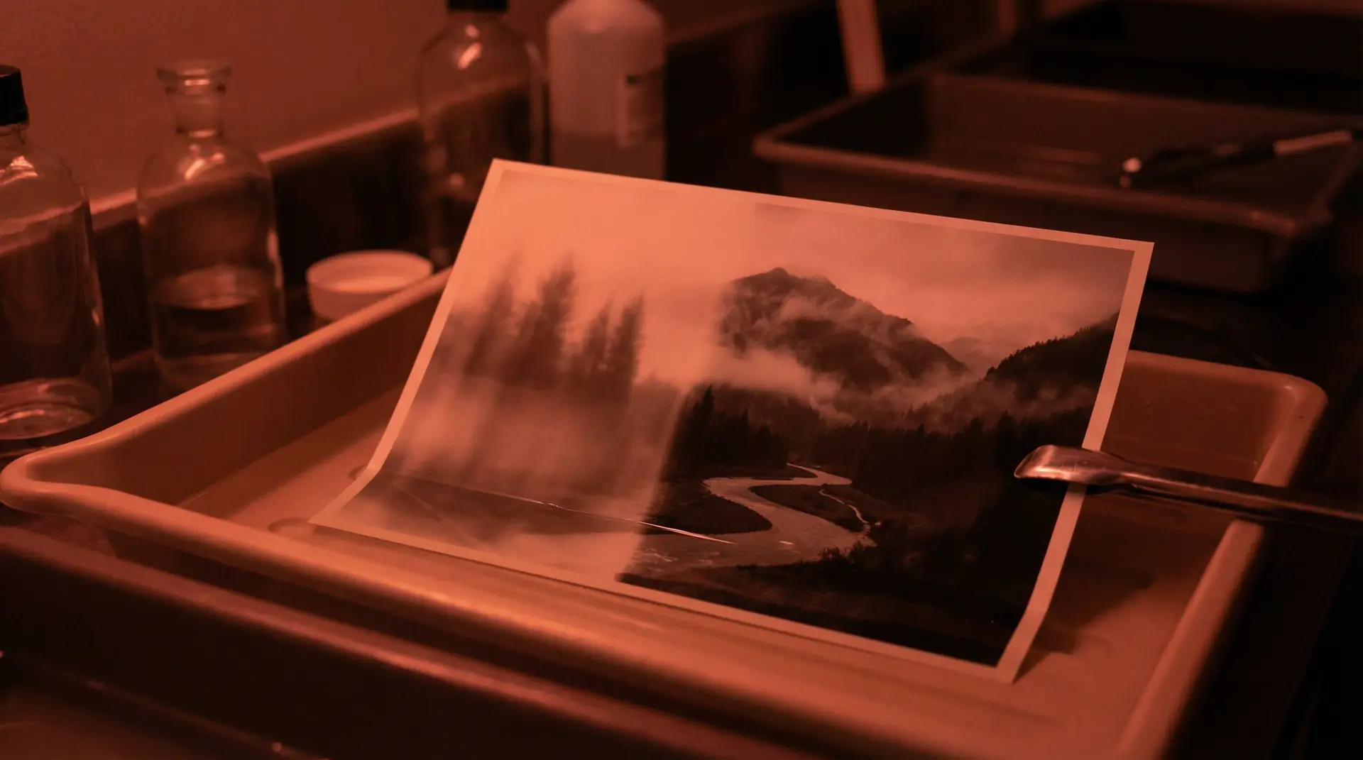 糖心logo免费 APP下载背景